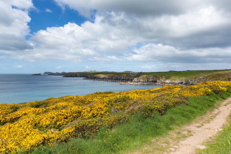 Wales Coast Path Pembrokeshire UK