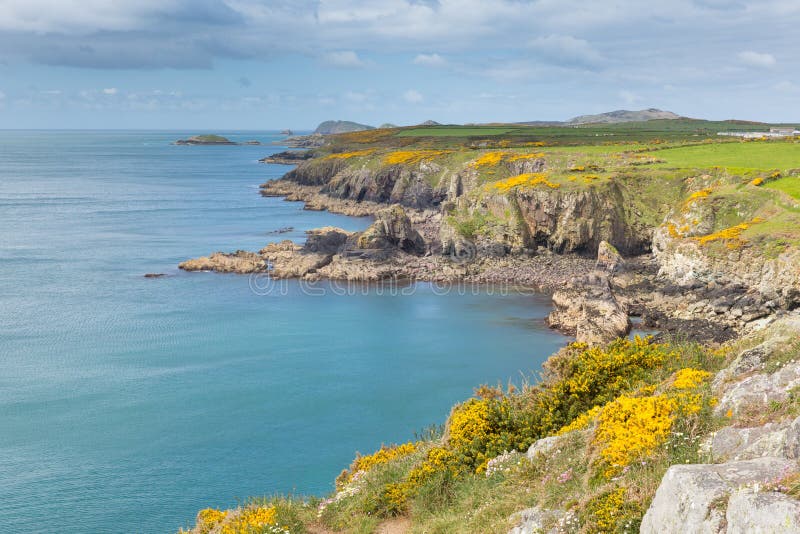 Wales Coast Path towards Caerfai from St Non`s Pembrokeshire UK