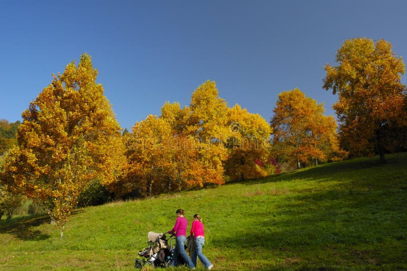 A walk in autumn