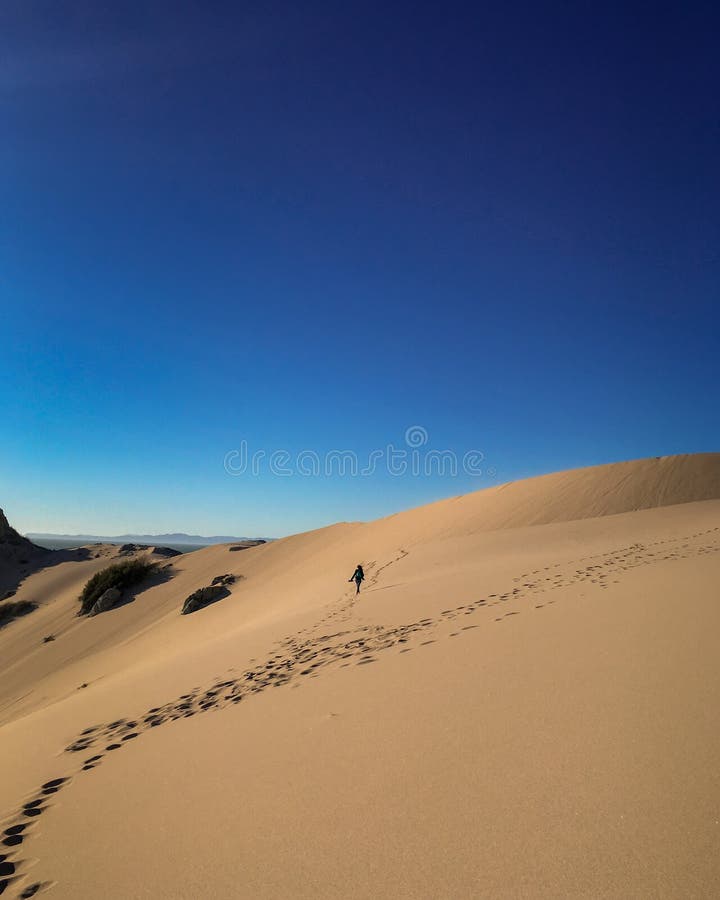 A walk in the desert royalty free stock photos A walk in the desert royalty free stock photos