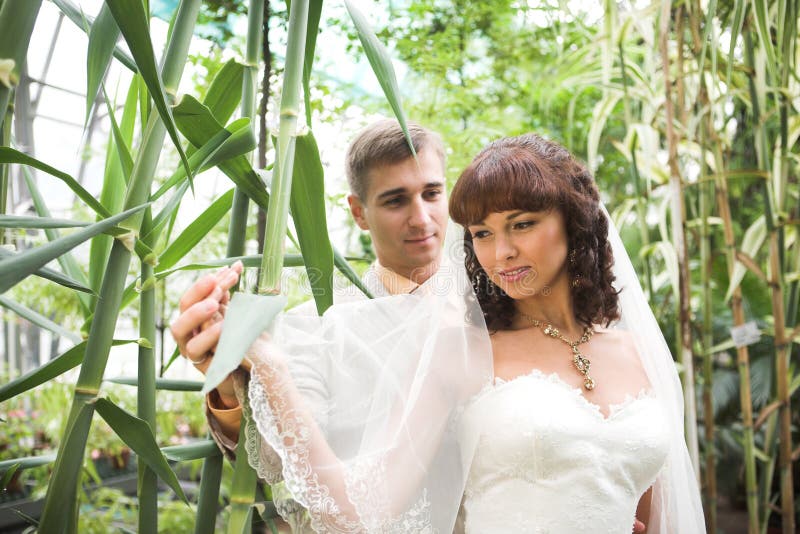 The walk of newlyweds