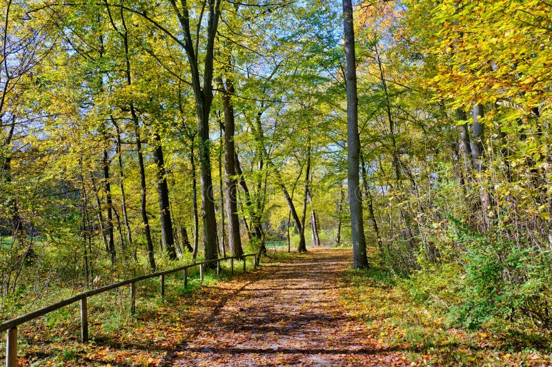 Walk in the park