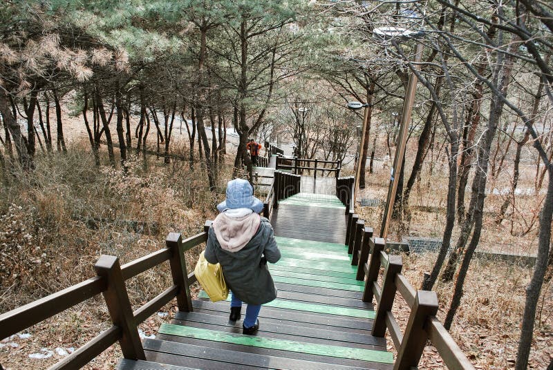 Walk path and beautiful Korea nature at hill top during winter season for travel concept stock image Walk path and beautiful Korea nature at hill top during winter season for travel concept stock image