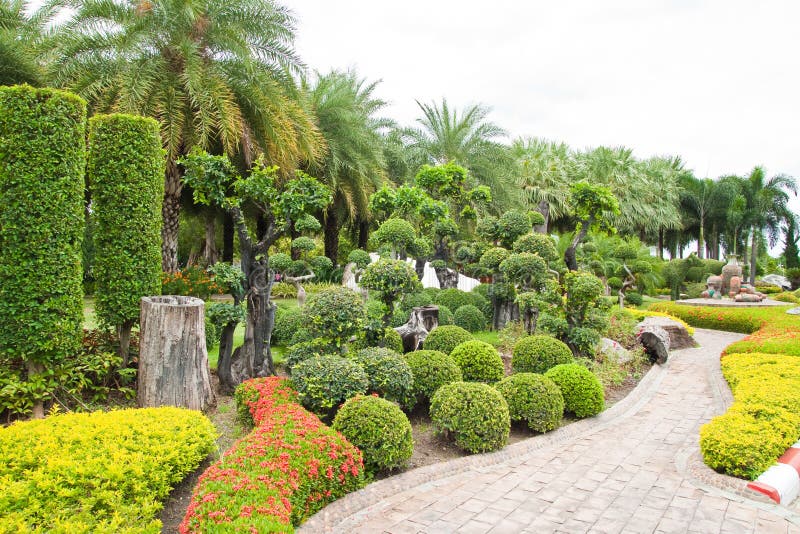 Walk path and dwarf tree in the garden.