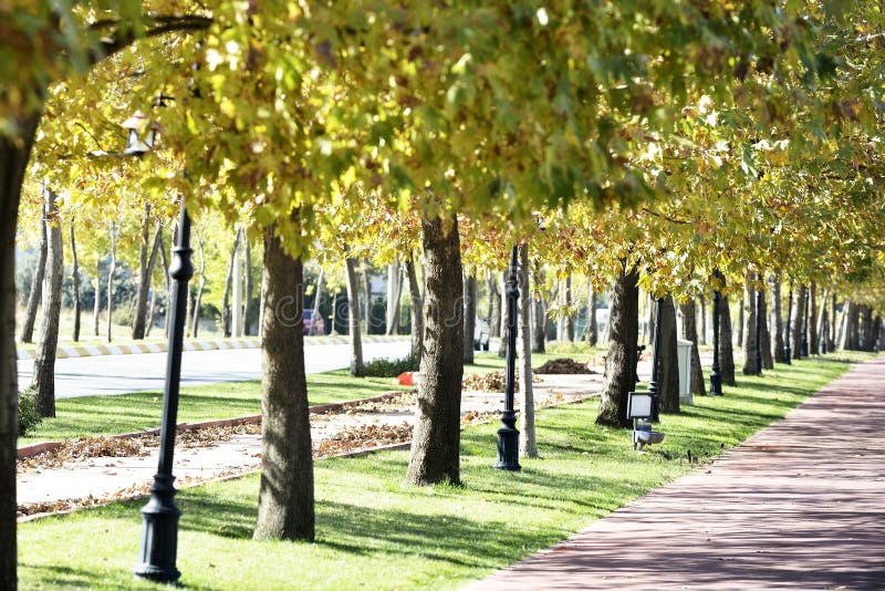 Walk way in the park stock image Walk way in the park stock image
