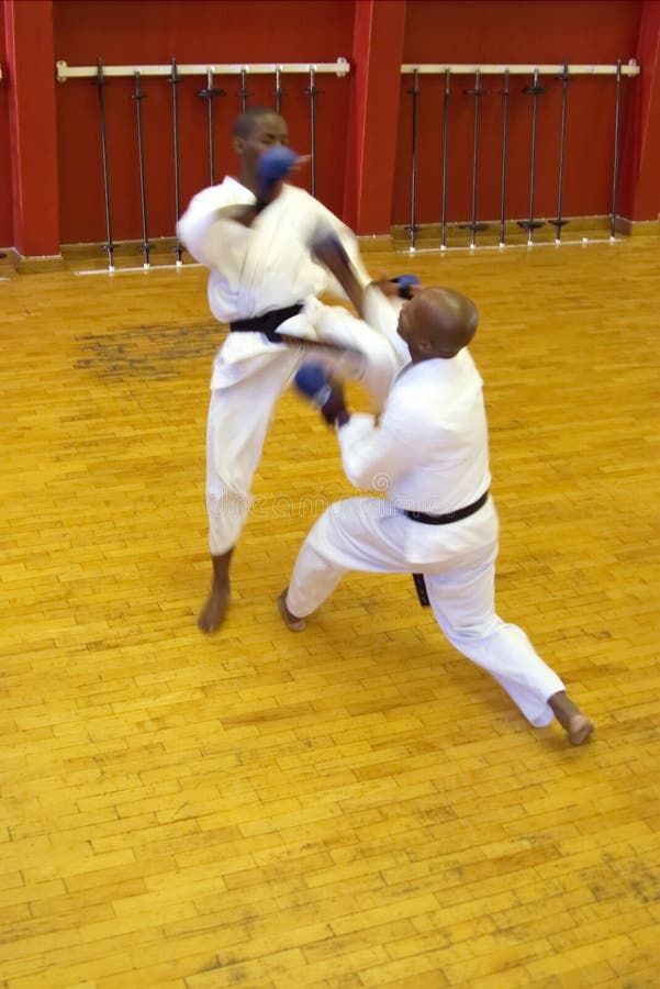 Walka karate. obraz stock. Obraz złożonej z wojownik, dynamiczny 1115013