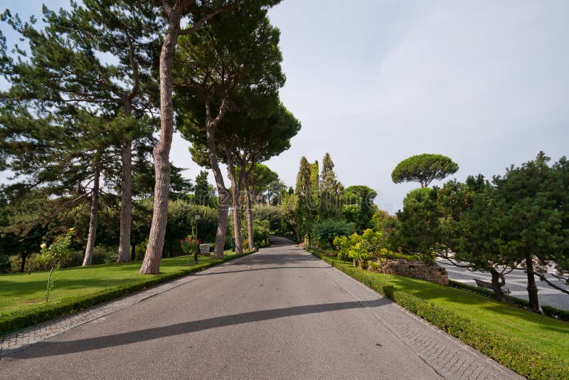 Walkat the Vatican Gardens