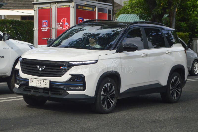 2022 Walking almaz rs 20 Hybrid lizenzfreie stockbilder