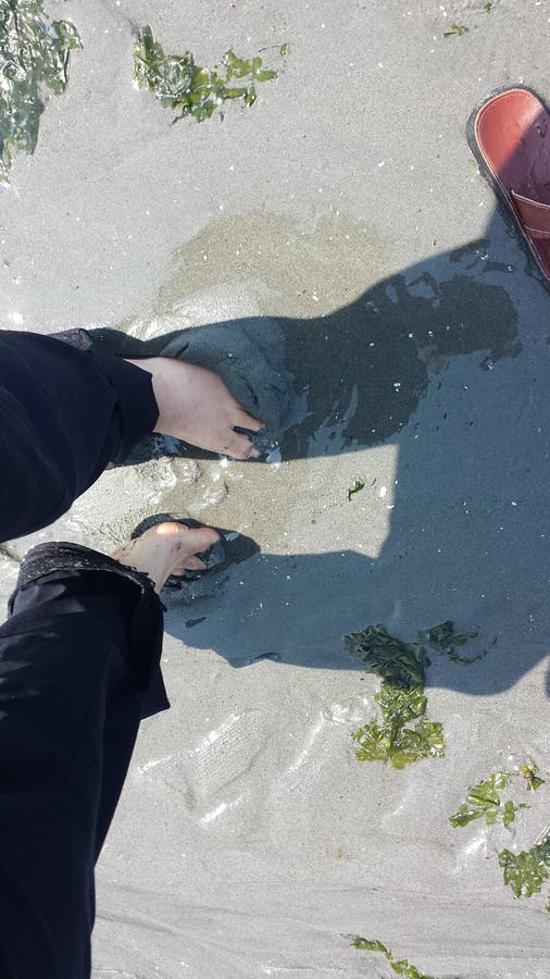 Walking on the beach feet on the sand stock photos