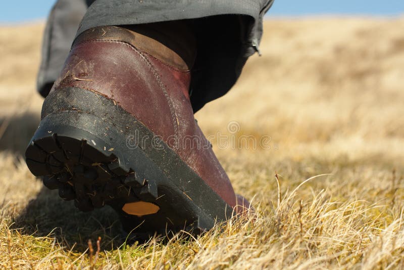 Multiplication table stock vector. Illustration of five - 27698190