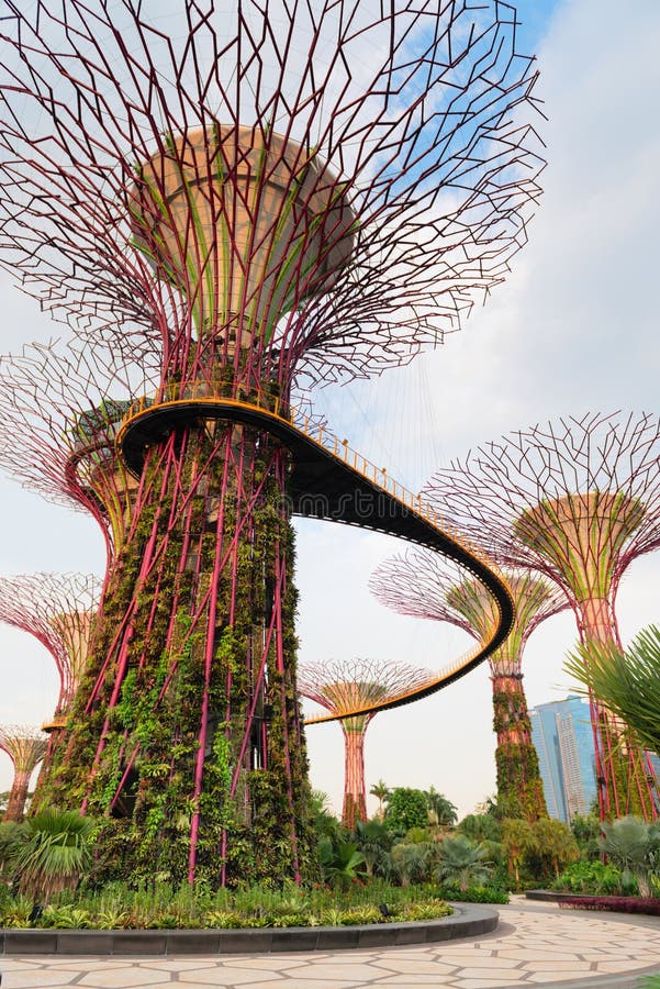 Walking Bridge On Super Trees In Gardens By The Bay