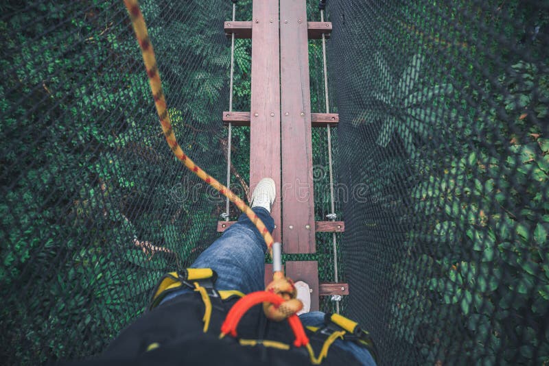 Walking on bridge on top tree