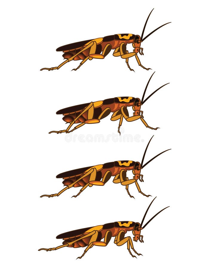 Walking Cockroach Stock Illustrations – 61 Walking Cockroach Stock Illustrations, Vectors & Clipart - Dreamstime Walking Cockroach Stock Illustrations – 61 Walking Cockroach Stock Illustrations, Vectors & Clipart - Dreamstime