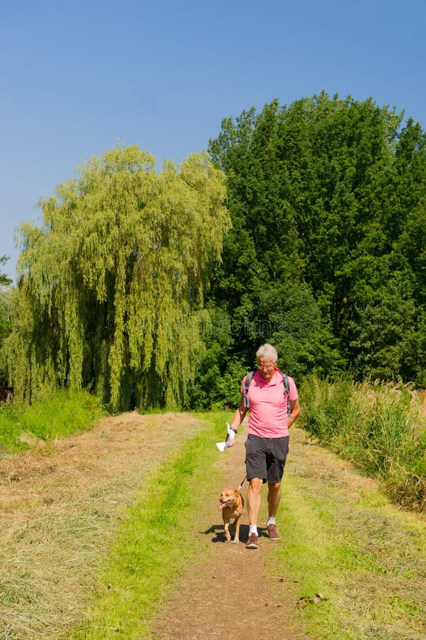 Walking with dog in nature stock photo. Image of dutch 31036038