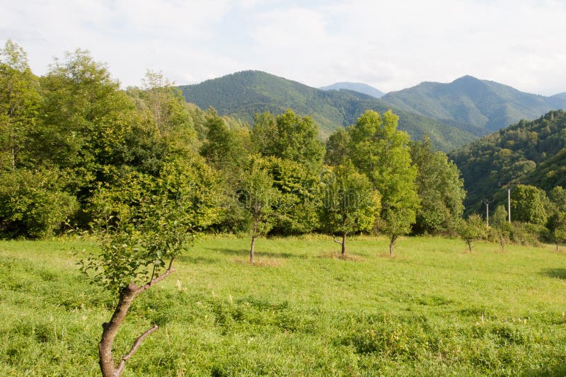 Walking in the green grass and green hills