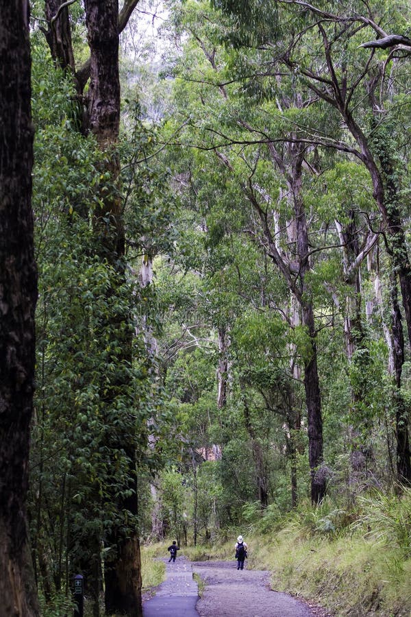 Kokoda Melbourne, Australia, a Place To Relax, Travel and Exercise