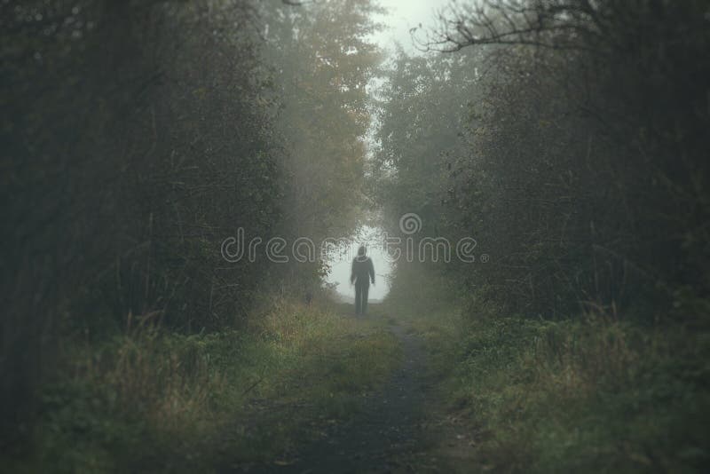 Walking lonely person on a forrest path during a dark day