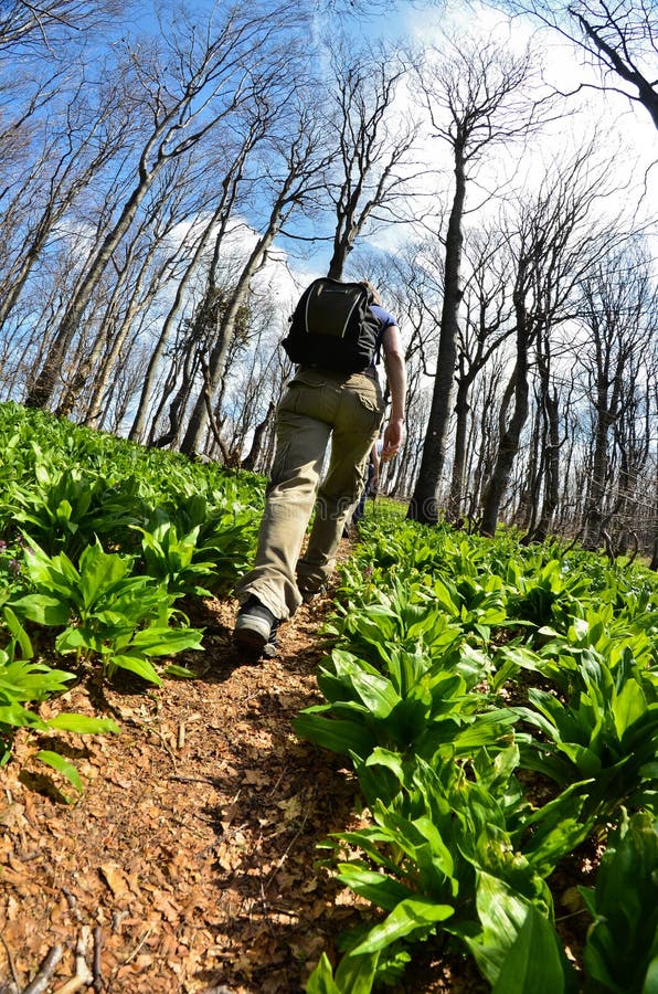 Walking in nature