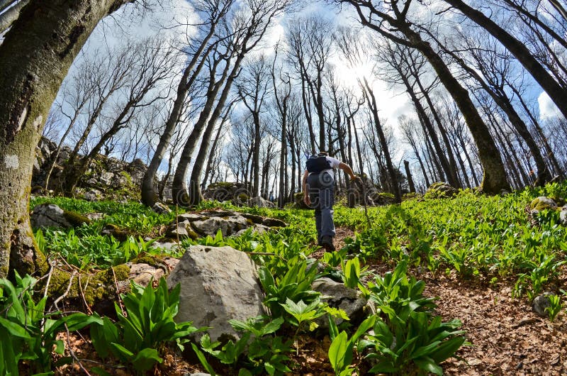 Walking in nature