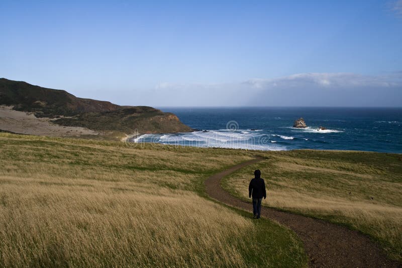 Walking through New Zealand Landscape