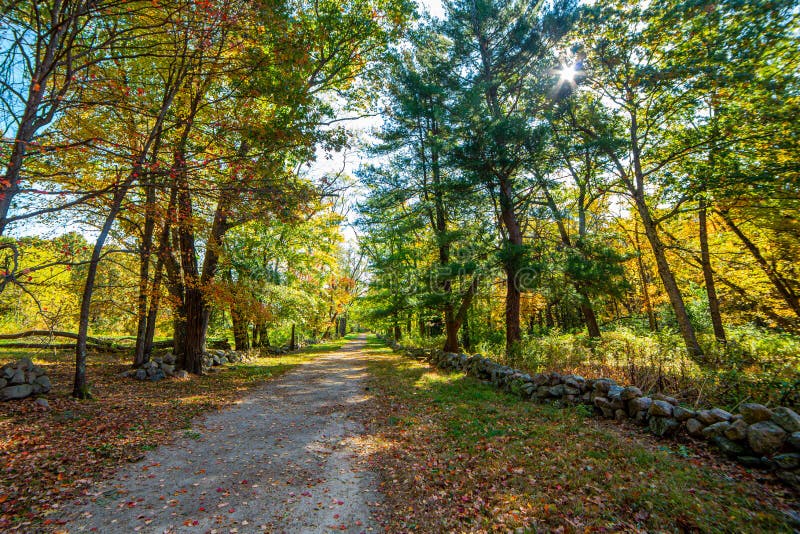 Walking Path Along Battle Road in Concord, MA Stock Photo Image of