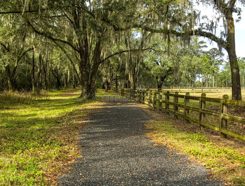 2,090 Tallahassee Stock Photos Free & RoyaltyFree Stock Photos from Dreamstime