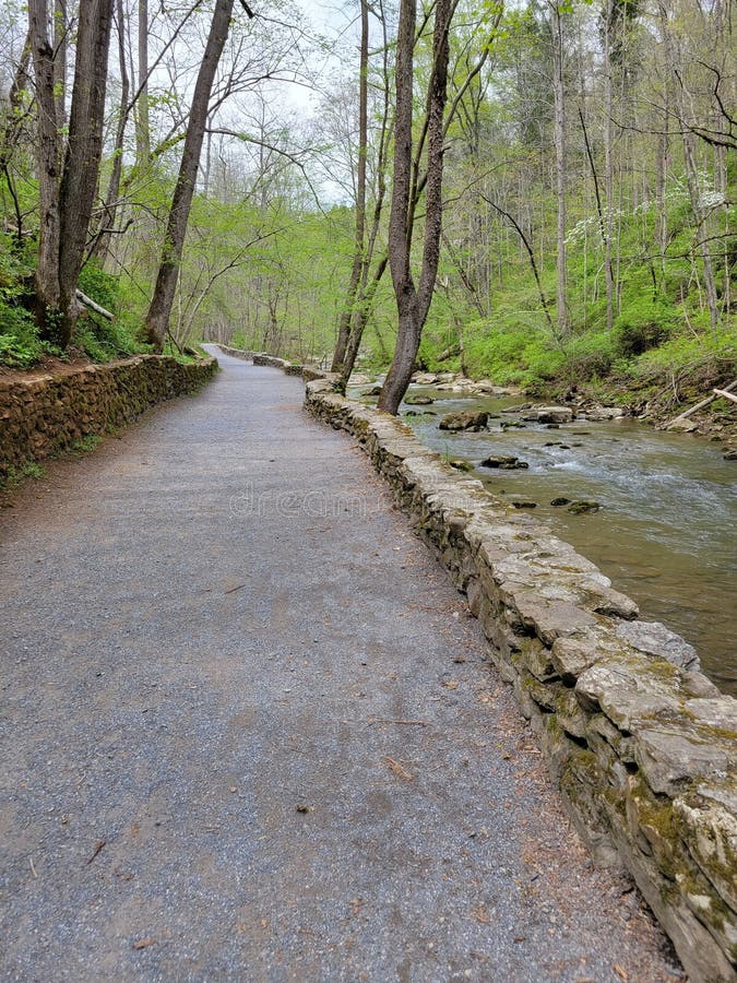 Walking Path To Natural Bridge, VA Stock Image Image of leaf, rock