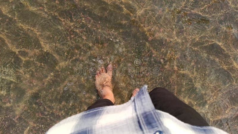 Walking through shallow water nature background stock video