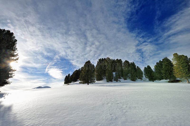 Walking on the snow in the Alps