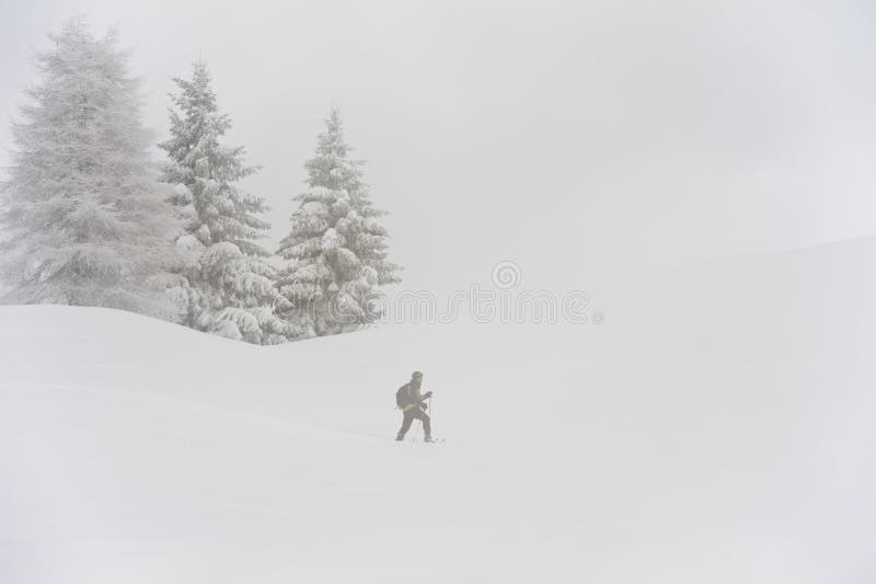 Walking with Snow Shoes