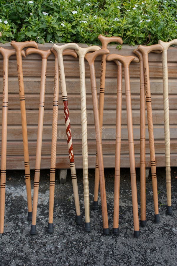 Walking Sticks for the Elderly Stock Photo Image of disabled