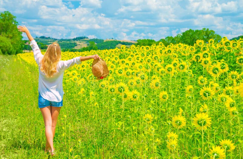 Walking on sunflower field