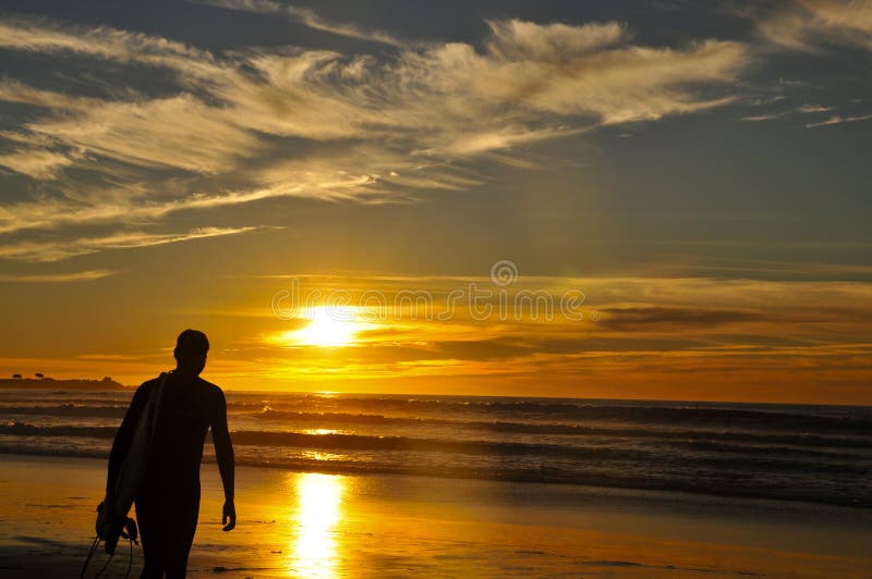 Walking surfer at sunset stock photo Walking surfer at sunset stock photo