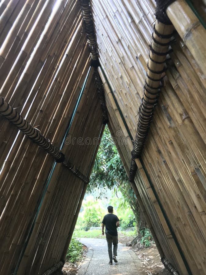 Man Walking through Bamboo Forest at Sagano, Arashiyama, Kyoto