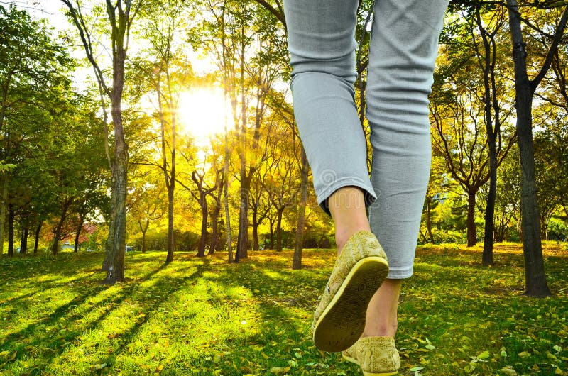 Walking Toward the Sunshine Stock Image Image of protection, bright