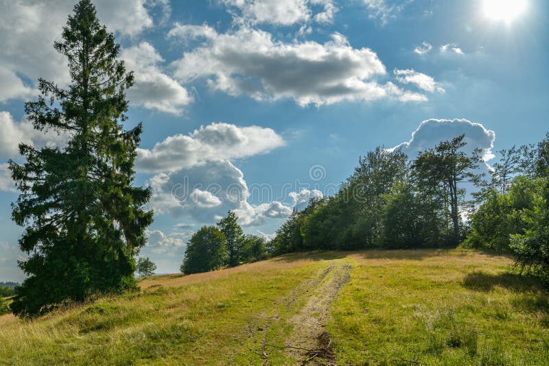 Pěší stezka poblíž vrcholu Zanka nad obcí Oščadnica