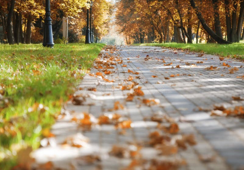 Walkway in the autumn park