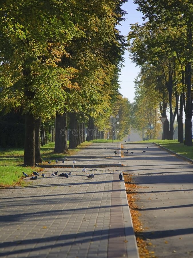 Walkway in the autumnal city