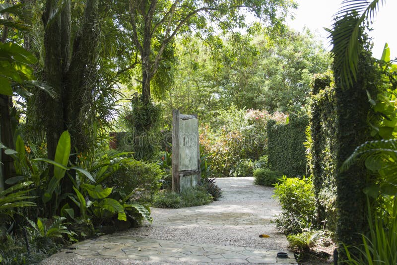 Walkway in the garden. Background and texture of nature royalty free stock photography