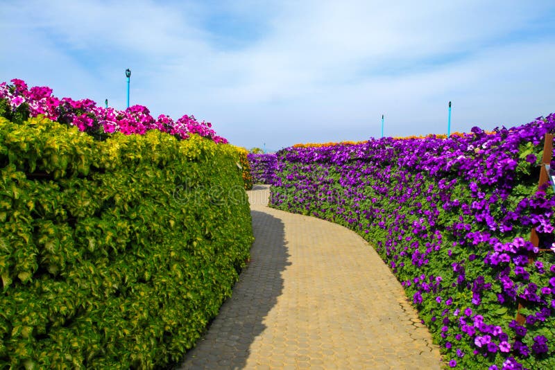 Walkway in the garden and the blue sky