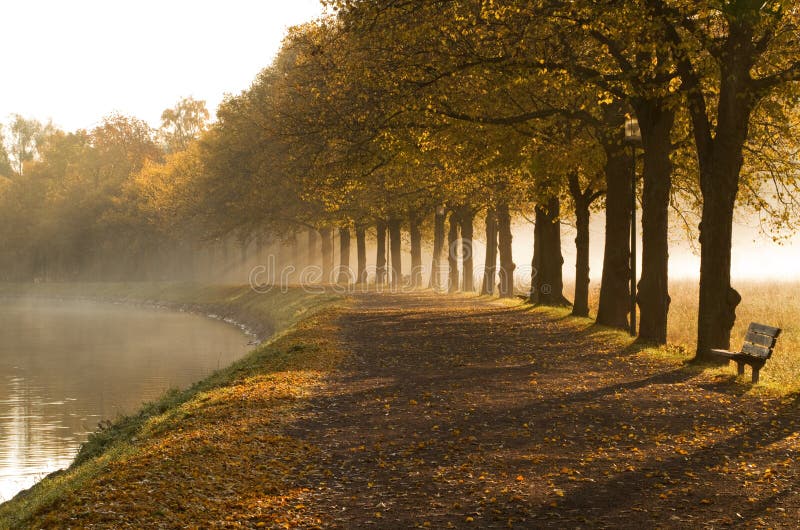 Walkway in mist in autumn. stock photos Walkway in mist in autumn. stock photos
