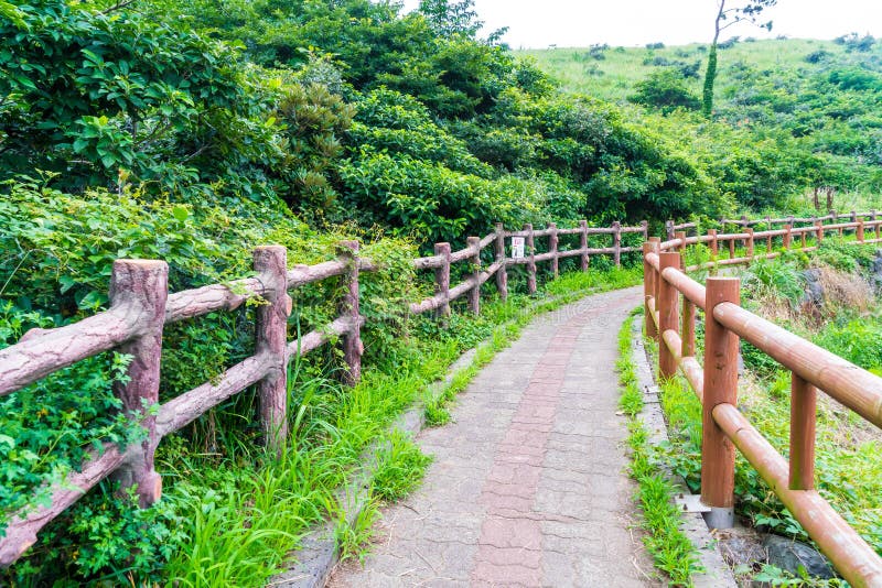 Walkway on mountain