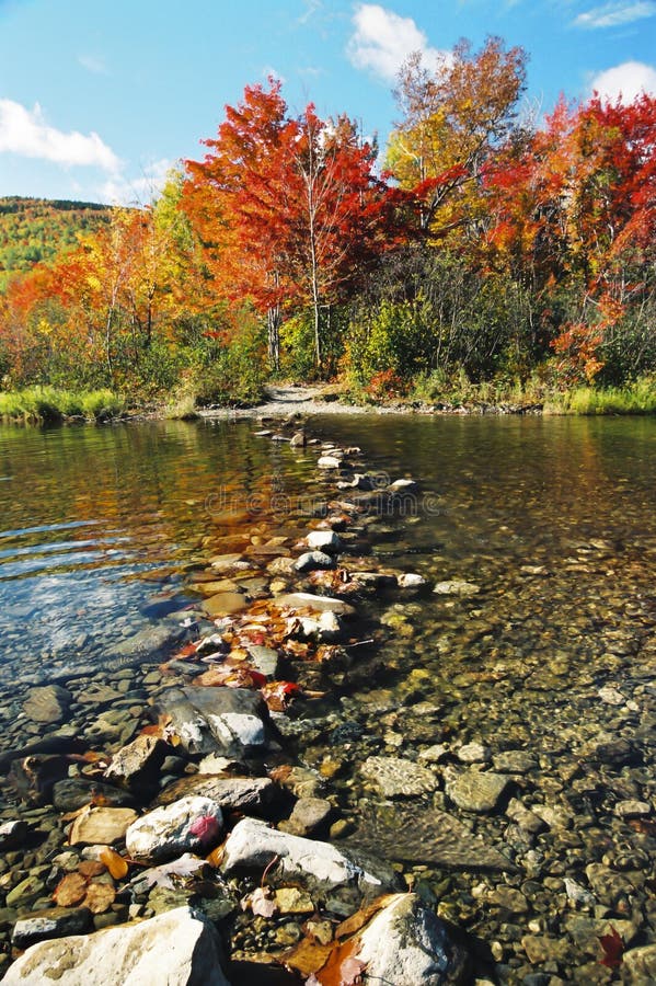 Walkway Of Stepping Stones Through A River Leading To Autumn Trees