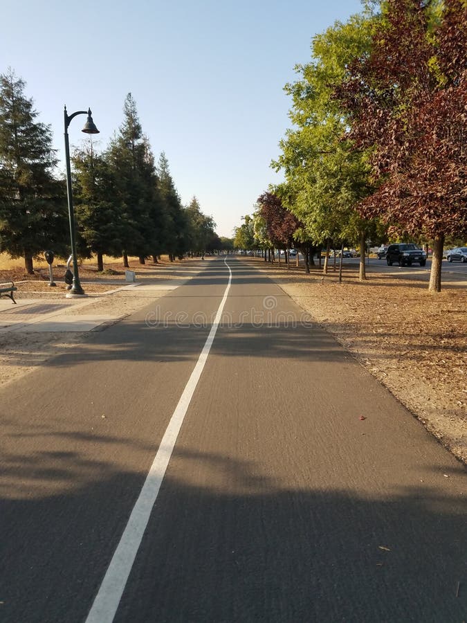 Walkway street trail trees stock image. Image of trail 146420061