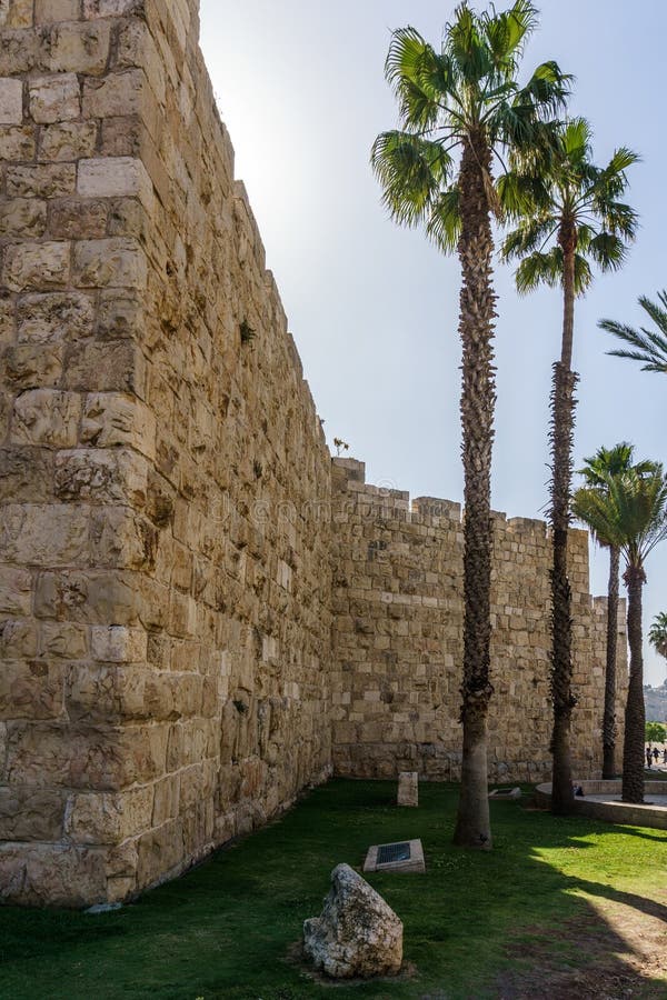 Wall of an Ancient Old Jerusalem City with a Green Palm Trees. Stock