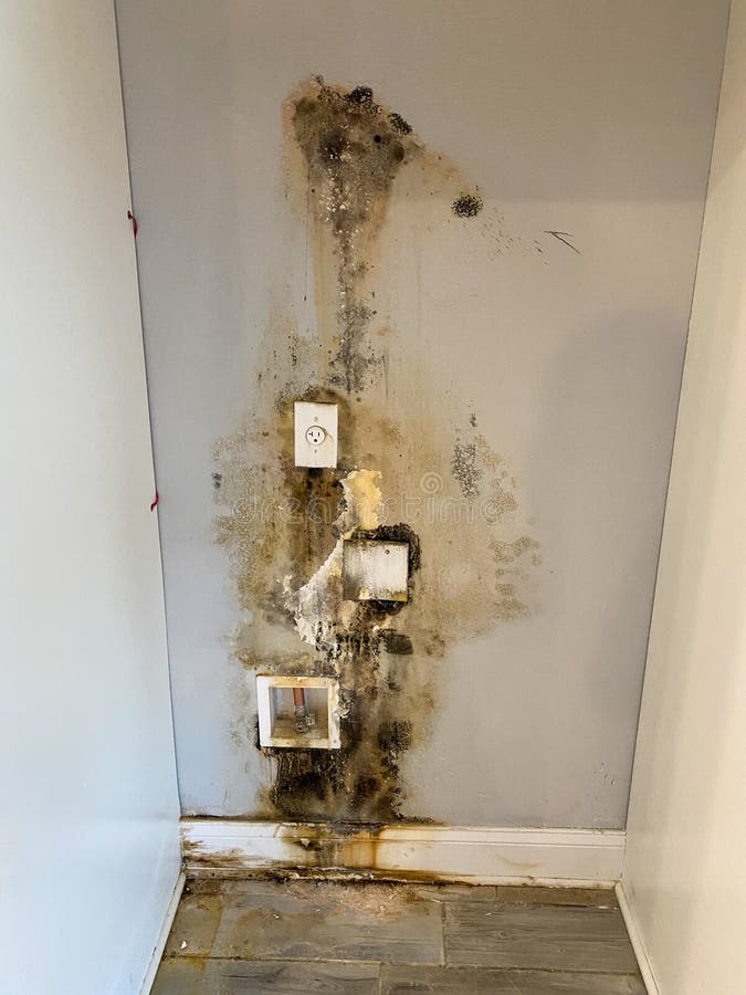 A Wall Behind a Refridgerator with Mold Growing Due To a Leak in the