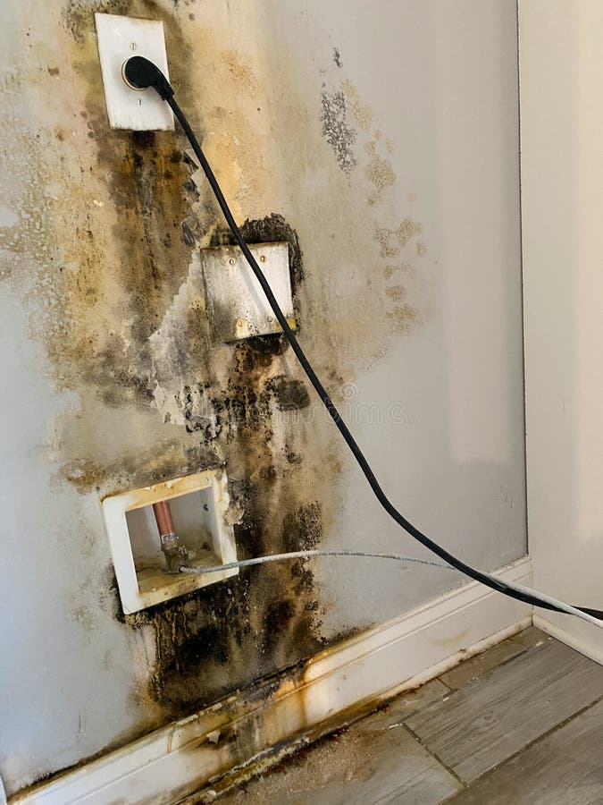 A Wall Behind a Refridgerator with Mold Growing Due To a Leak in the