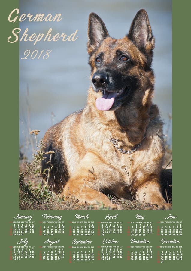 Wall Calendar Poster for 2018 Year with photo dog. Week Starts Sunday