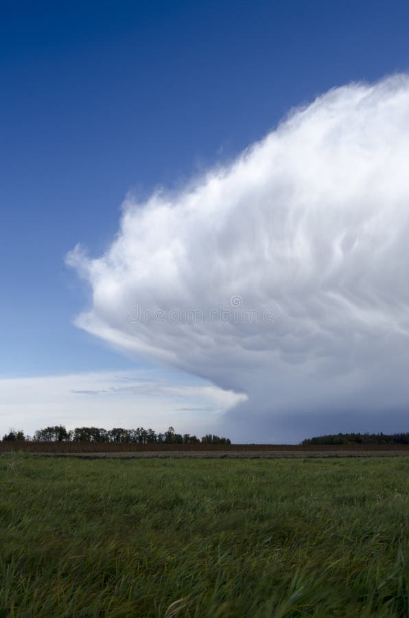 Wall Cloud (Vertical)