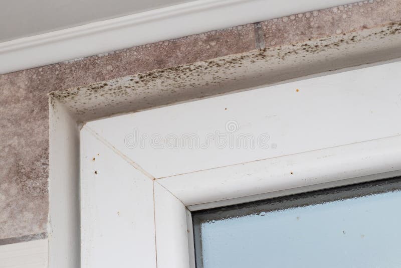 Wall Covered with Mold in a Bathroom with High Humidity Stock Image ...